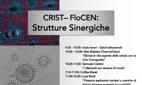 CRIST-FloCEN: Strutture Sinergiche