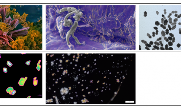 Concorso immagine dell'anno DICUS - 2025